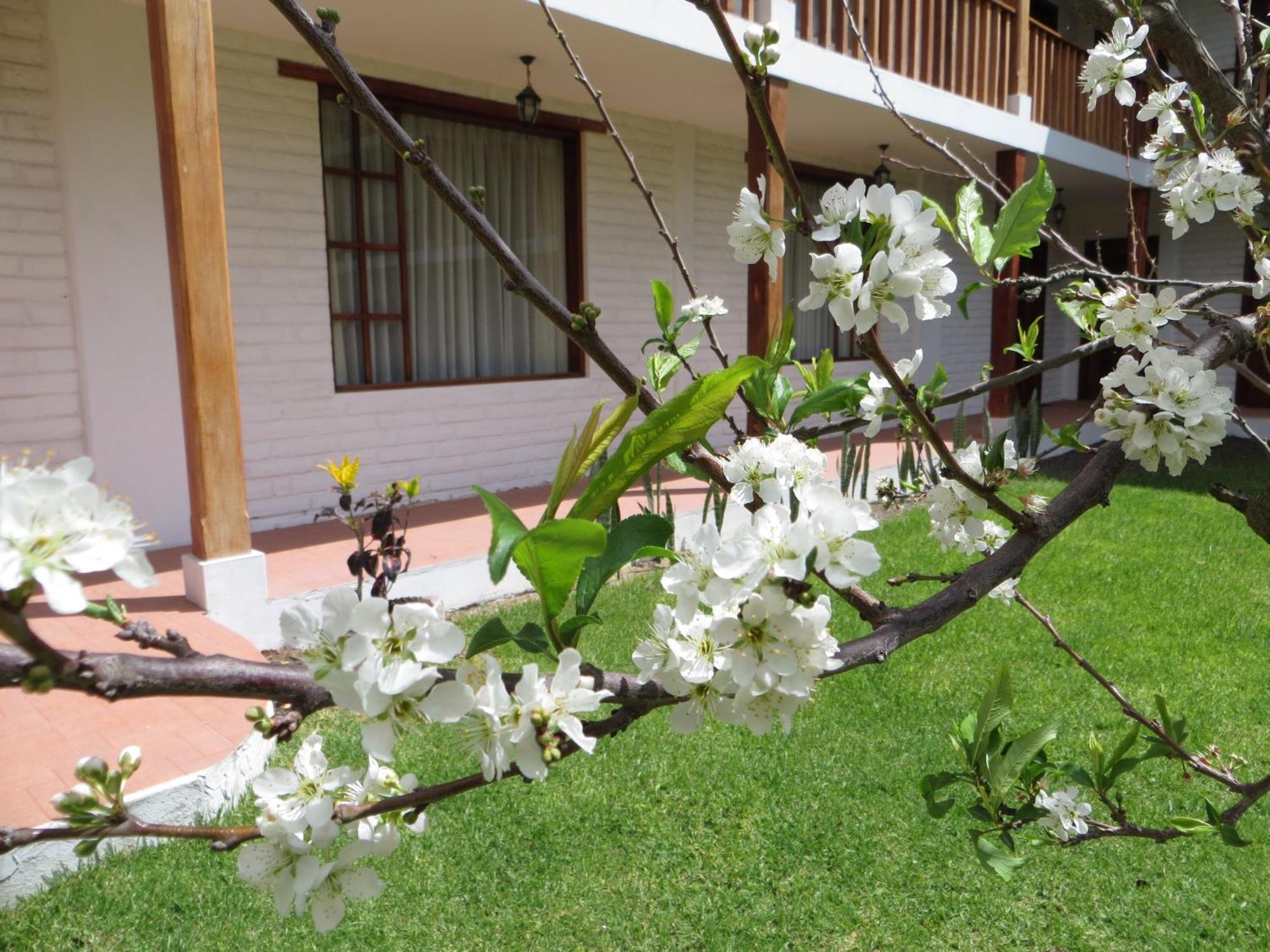 La Quinta San Andres Hotel Ibarra Bagian luar foto