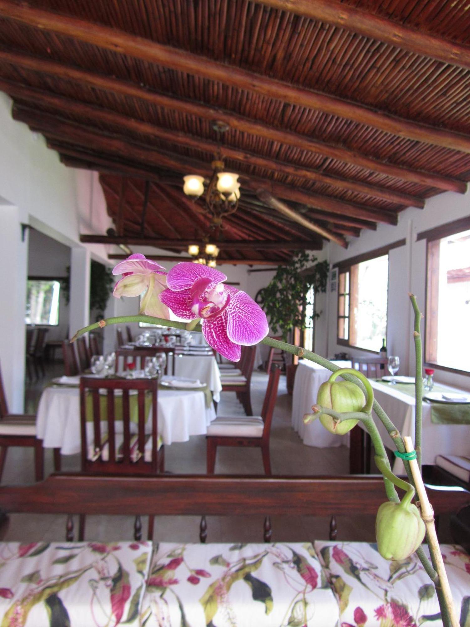 La Quinta San Andres Hotel Ibarra Bagian luar foto